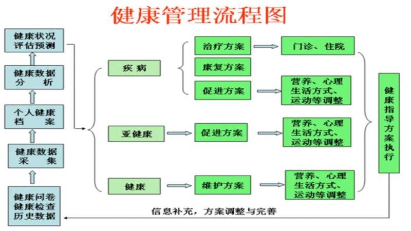 健康风向标:掌握你的生命之钥