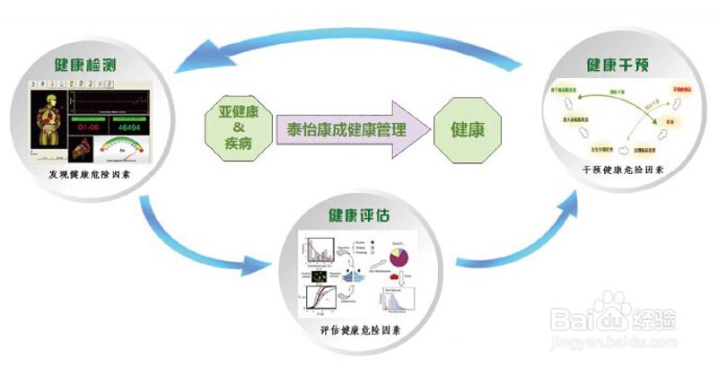 企业健康管理的未来趋势：构建健康职场
